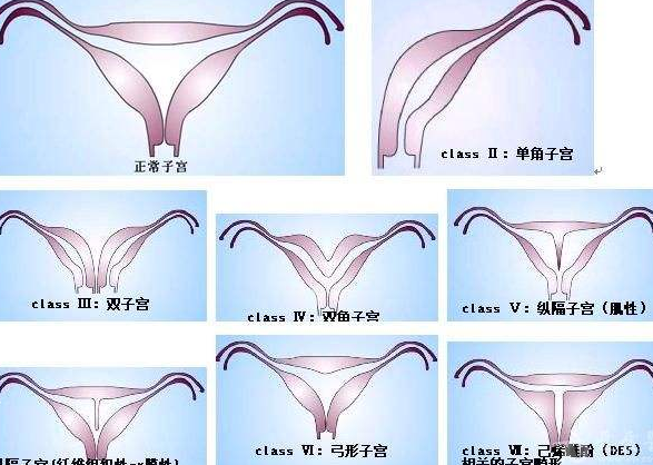 2024惠州权威不孕不育医院，三甲试管医院推荐与选择