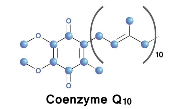 吃辅酶q10的禁忌