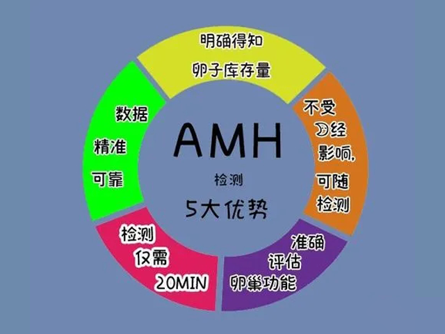 抗缪勒管激素