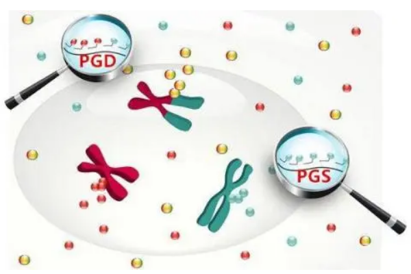 试管pgd筛查什么时候出结果？一般需等待一周左右